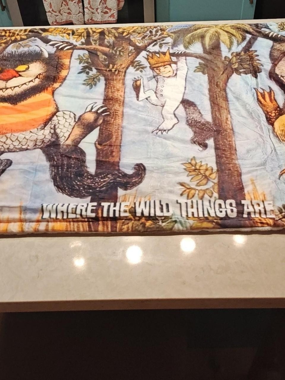 Where the Wild Things Are Tree Tops Baby Blanket Max Monsters Fleece 30x40